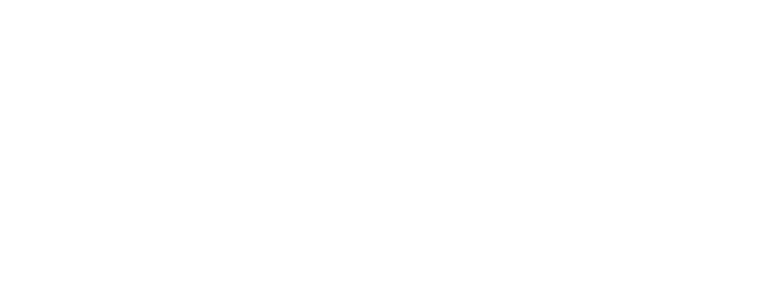 Logo | Holly Dolly